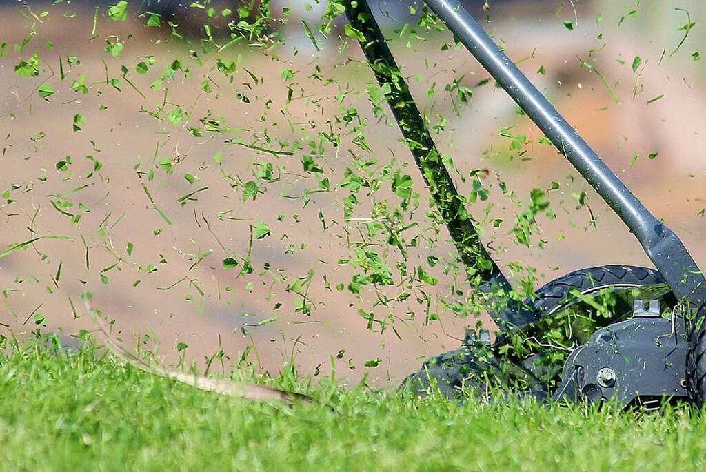 Nelson_Garden_Sowing_a_lawn_Image_1.jpg